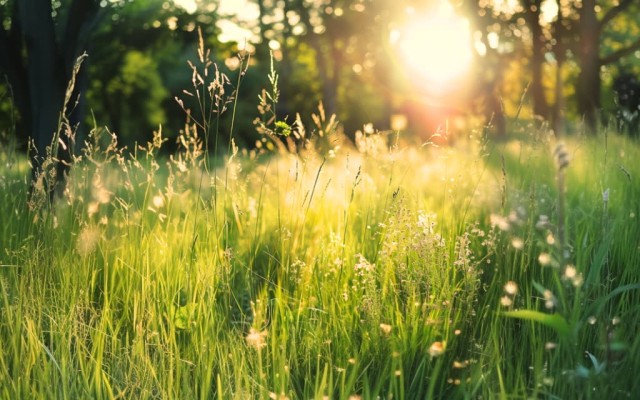 Gerade nach Aufenthalten im Freien empfehlen wir eine gründliche Untersuchung.