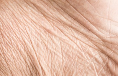 bilder/magazin/reife-haut.01.jpg